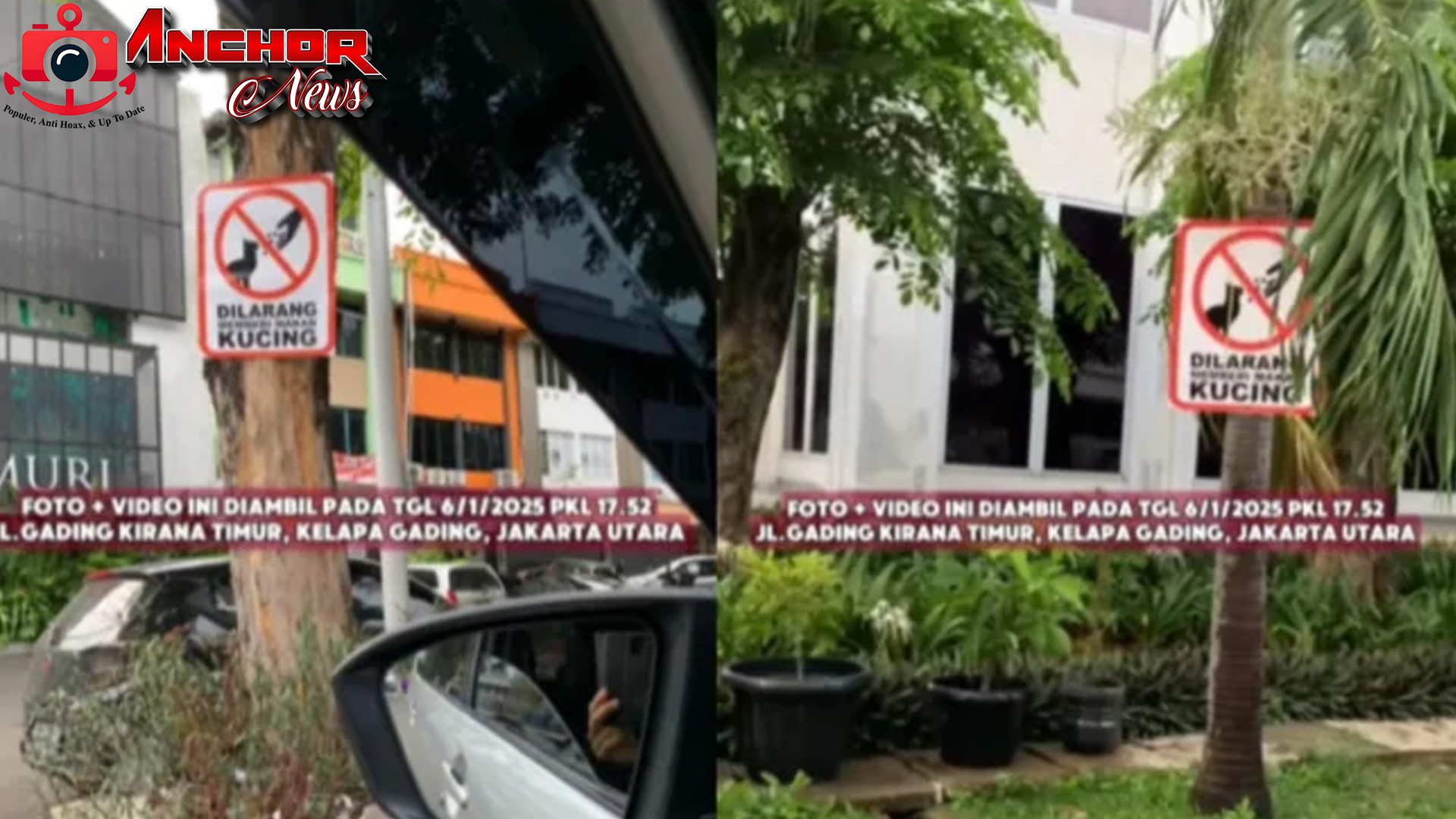 Etika Polemik Larangan Makan Kucing di Gading Kirana